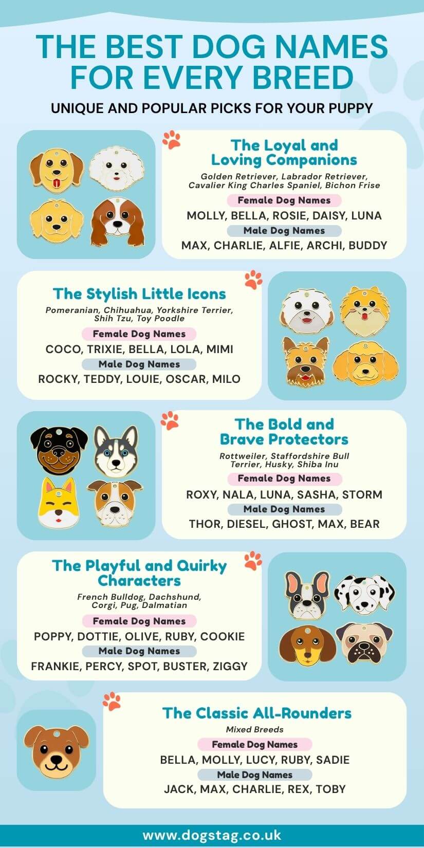 Dog name chart by breed with male and female puppy names for popular types like retrievers and terriers.